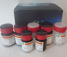 结晶紫/龙胆紫混合染色液