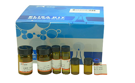人6酮前列腺素F1a(6-keto-PGF1a)elisa试剂盒_技术服务