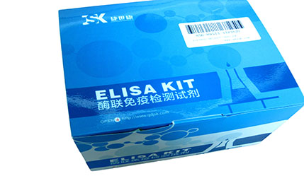 人前列环素(PGI)elisa定量检测试剂盒