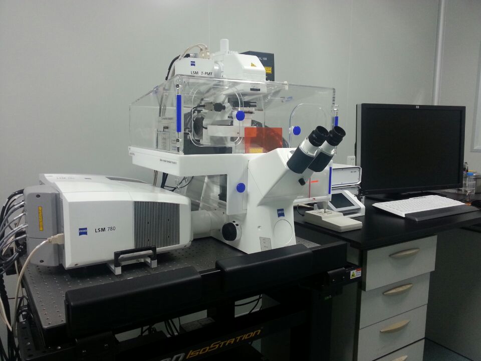 激光共聚焦Cofocal LSM780对外开放
