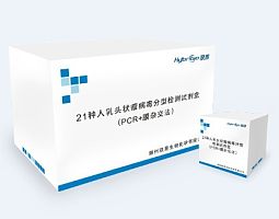 21种（HPV）分型检测试剂盒