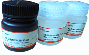 青霉素-链霉素混合溶液(100×双抗)最新报价