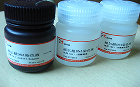 细胞松弛素B储存液(1ml/瓶)科研用
