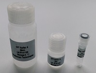 CPT高效转染试剂盒