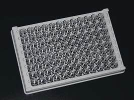 96孔酶标板(不可拆 独立包装) 康宁耗材