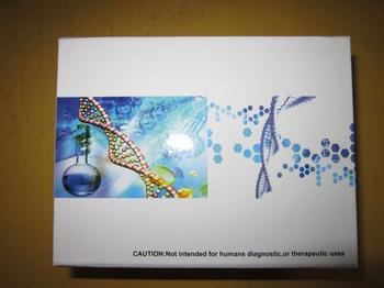 小鼠白细胞介素1β（IL-1β）ELISA Kit 试剂盒代测