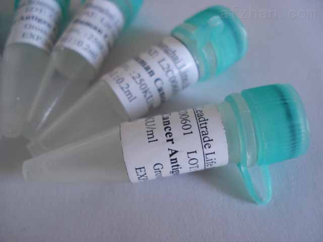  白介素16抗体（白细胞介素-16）
