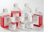 HyClone DMEM低糖液体培养基（货号：SH30021.01B）