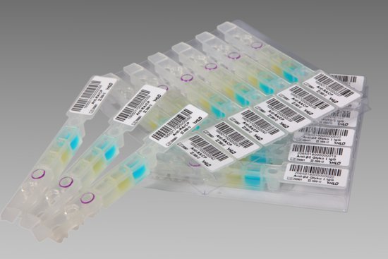 促代谢型谷氨酸受体4抗体