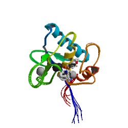 人基质金属蛋白酶13(MMP-13)elisa试剂盒|品牌:捷世康