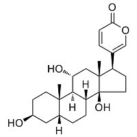 Gamabufotalin; Gamabufagin
