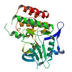 人FMS样酪氨酸激酶3(Flt3)elisa试剂盒|免费代测