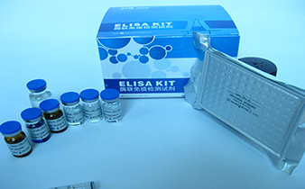 人尿微量白蛋白(ALB)elisa试剂盒免费代测