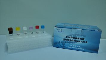 乙型肝炎病毒荧光定量PCR检测试剂盒