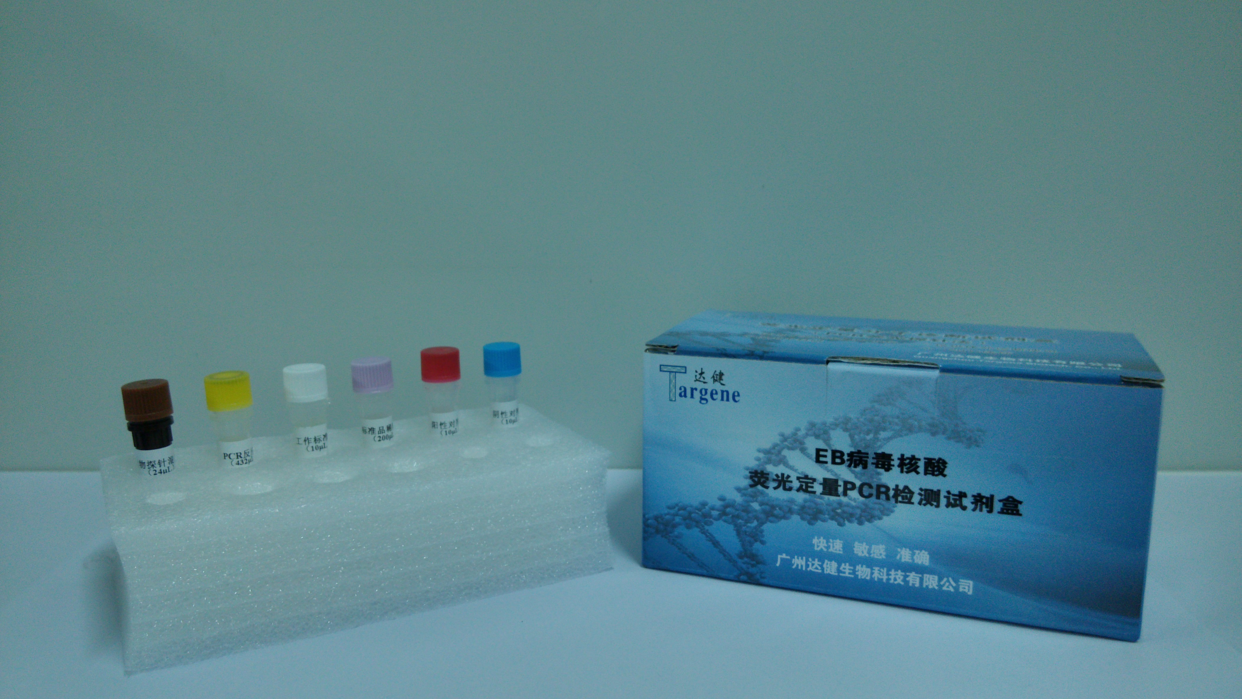 EB病毒核酸荧光定量PCR检测试剂盒