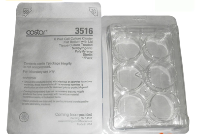 培养板6孔(标准,TC表面,未灭菌)