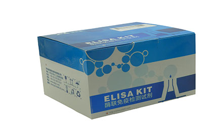 小鼠8羟基脱氧鸟苷(8-OHdG)ELISA Kit 【定性】