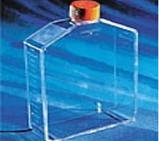 培养瓶 225cm2 直角角度颈 透气盖 PS（聚苯乙烯）材质 灭菌