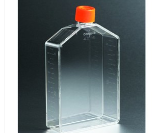 培养瓶150cm2 直角斜颈(正方斜口)透气盖PS(聚苯乙烯)材质 灭菌