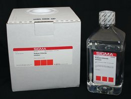 核糖核酸酶A (Sigma代理) R5503-1G