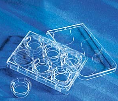   Transwell-膜嵌套 12mm膜直径 0.4um PC(聚碳酸酯）膜 TC表面 灭菌 