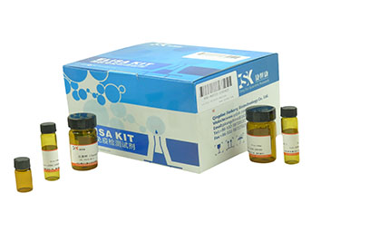 小鼠3-硝基酪氨酸（3-NT）ELISA Kit |检测|