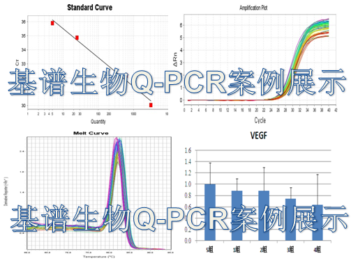 实时荧光定量（Q-PCR）技术服务