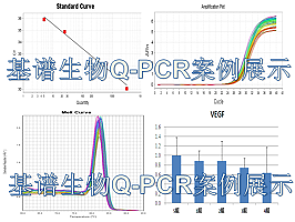 实时荧光定量（Q-PCR）技术服务