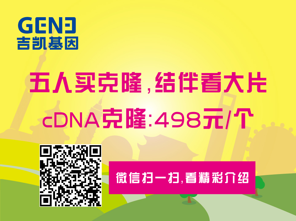 cDNA克隆——498/个