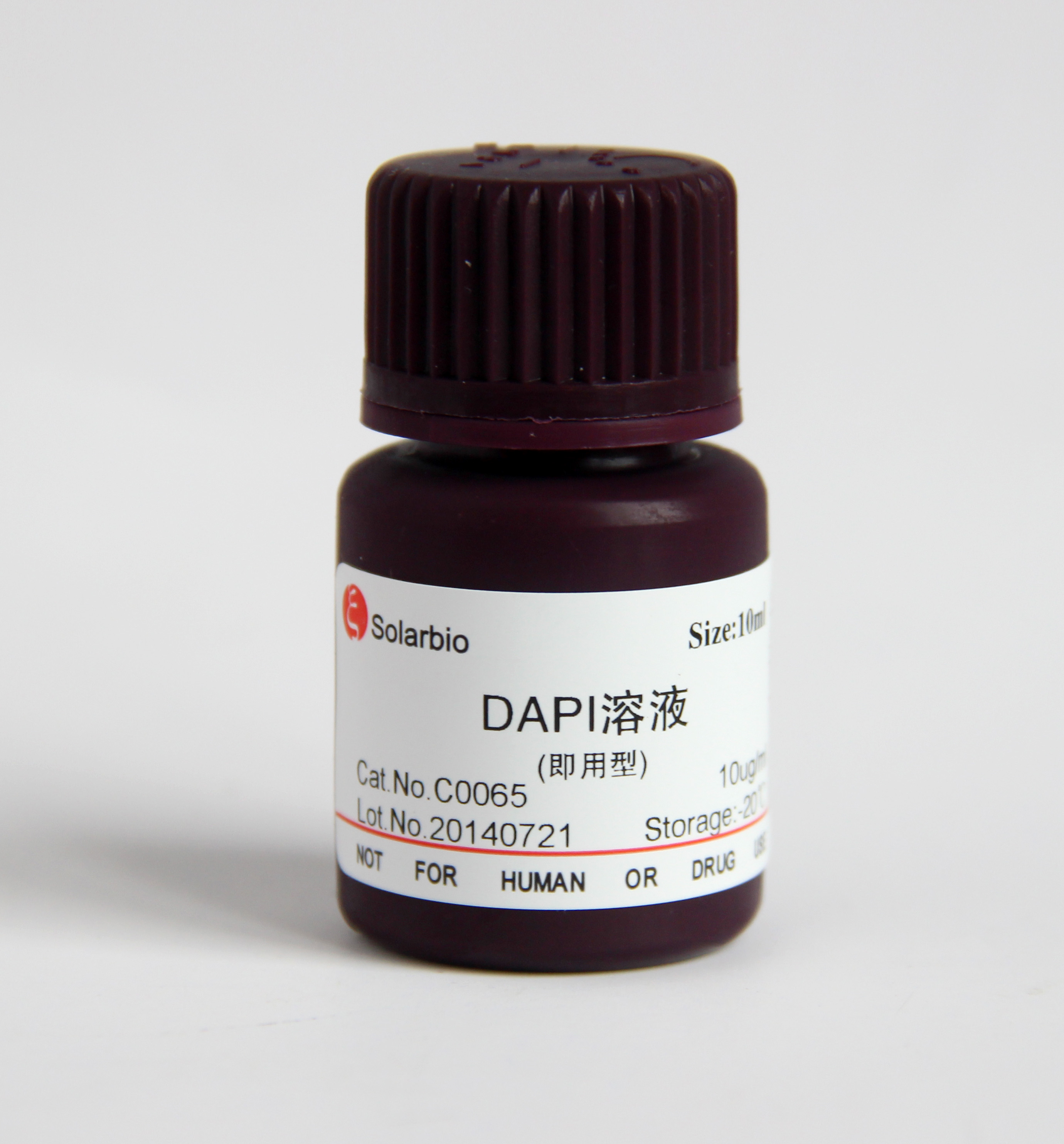 C0065 DAPI染色液（即用型）
