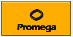 pGL2-Promoter VectorE1631