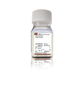 Lipofectamine® 3000 Transfection Reagent  脂质体3000