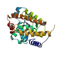 人维生素D受体(VD R)elisa试剂盒