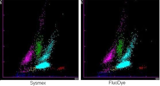 SYSMEX白细胞五分类血球试剂原料 - 荧光染料