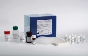 人胃动素(MTL)ELISA试剂盒厂家