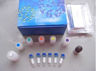 人正常T细胞表达和分泌因子(RANTES/CCL5)ELISA试剂盒北京现货，进口促销ELISA试剂盒