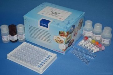 人N端中段骨钙素(N-MID-OT)ELISA试剂盒价格