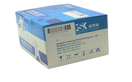 大鼠维生素D2(VD2)elisa试剂盒|说明书