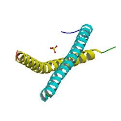 人活化蛋白C(APC) elisa检测试剂盒