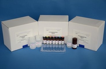 人活化蛋白C抵抗素(APCR)ELISA试剂盒进口促销