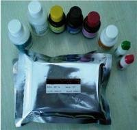 人睾酮(T)ELISA试剂盒免费代测