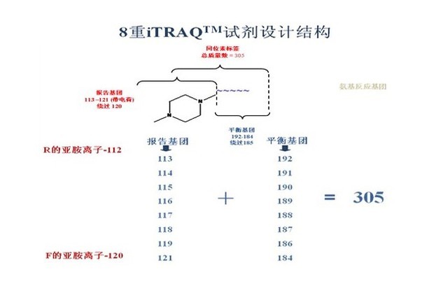 iTRAQ定量蛋白组学
