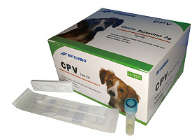 犬细小病毒（CPV）抗原快速诊断试纸