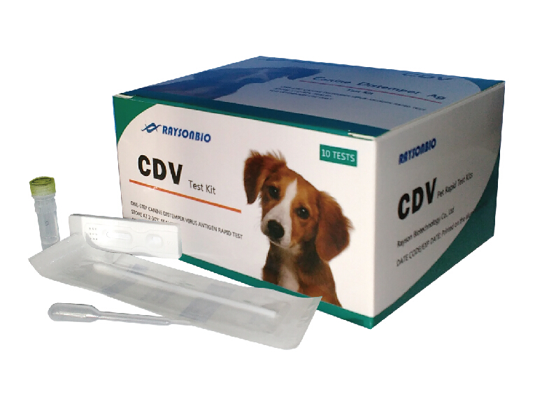 犬瘟热（CDV）抗原快速诊断试纸