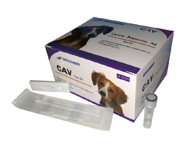 犬腺病毒Ⅱ型（CAV）抗原快速诊断试纸