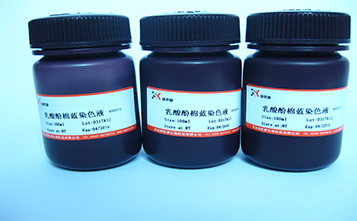 姬姆萨染色储存液>可先发货