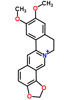 表小檗碱（CAS：6873-09-2）中药对照品，标准品