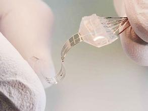 大小鼠标记系统,小动物标记系统