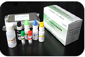 人C-肽（C-P）定量检测试剂盒（CLIA）