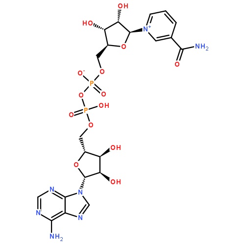 氧化型辅酶Ⅰ53-84-9说明书